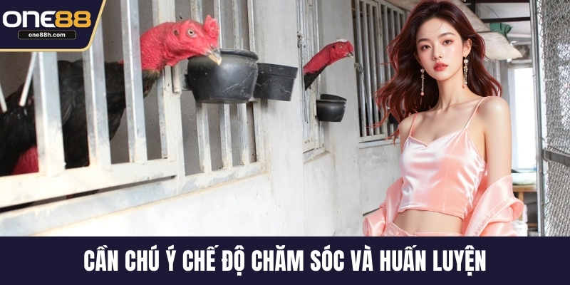 Cần chú ý chế độ chăm sóc và huấn luyện